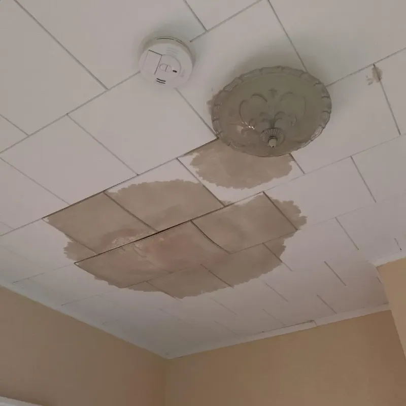 Ceiling Water Damage Repair in Durham, NH